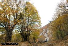 گزارش تصویری از فصل پاییز در جنگل ابر شاهرود